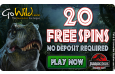 No Deposit Bonus - GoWild